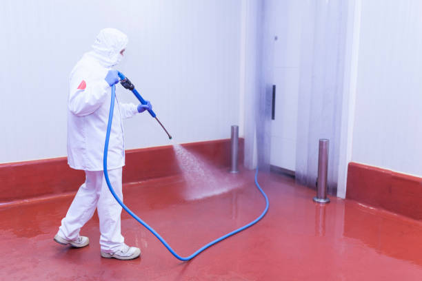 Best Solar Panel Cleaning  in Finderne, NJ